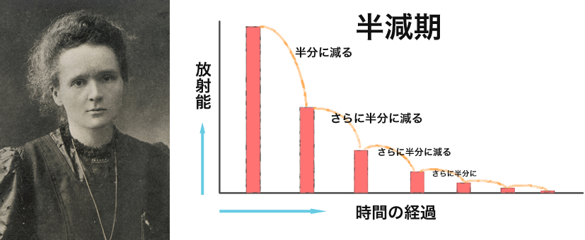 キュリー夫人と半減期