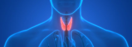 甲状腺の核医学治療のイメージ