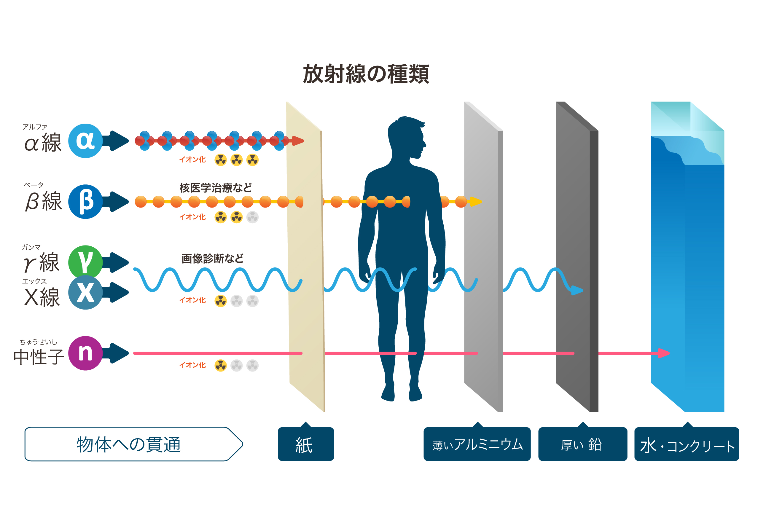 放射線の種類と物体への貫通の違い