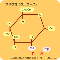 科学的なしくみ