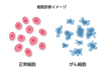 細胞の違い