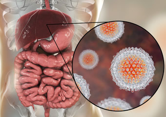肝炎ウイルスイメージ